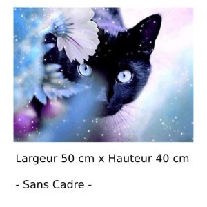 Peinture par Numéro Chat aux Yeux Bleus
