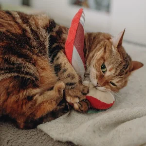 Jouet Piment d'Espelette pour Chats